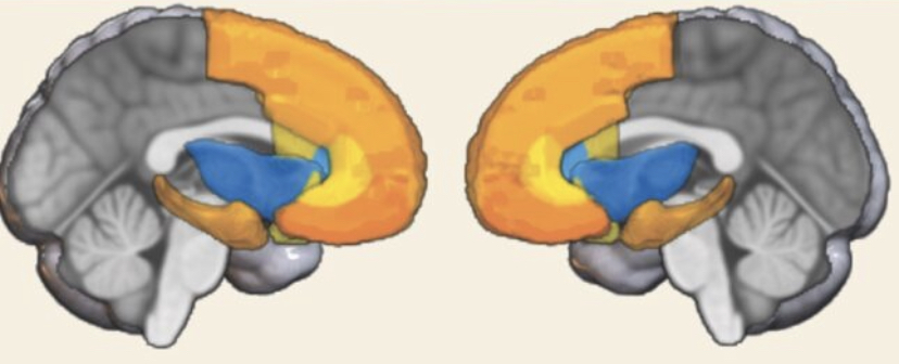 765A5A12 6CEE 45FA 9F80 5FA85488BDDE