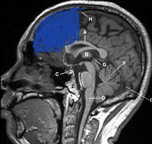 8EE9FD54 090C 4713 8B41 207F830B0842