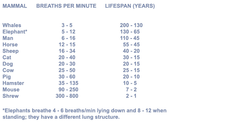 Mammals breathing chart