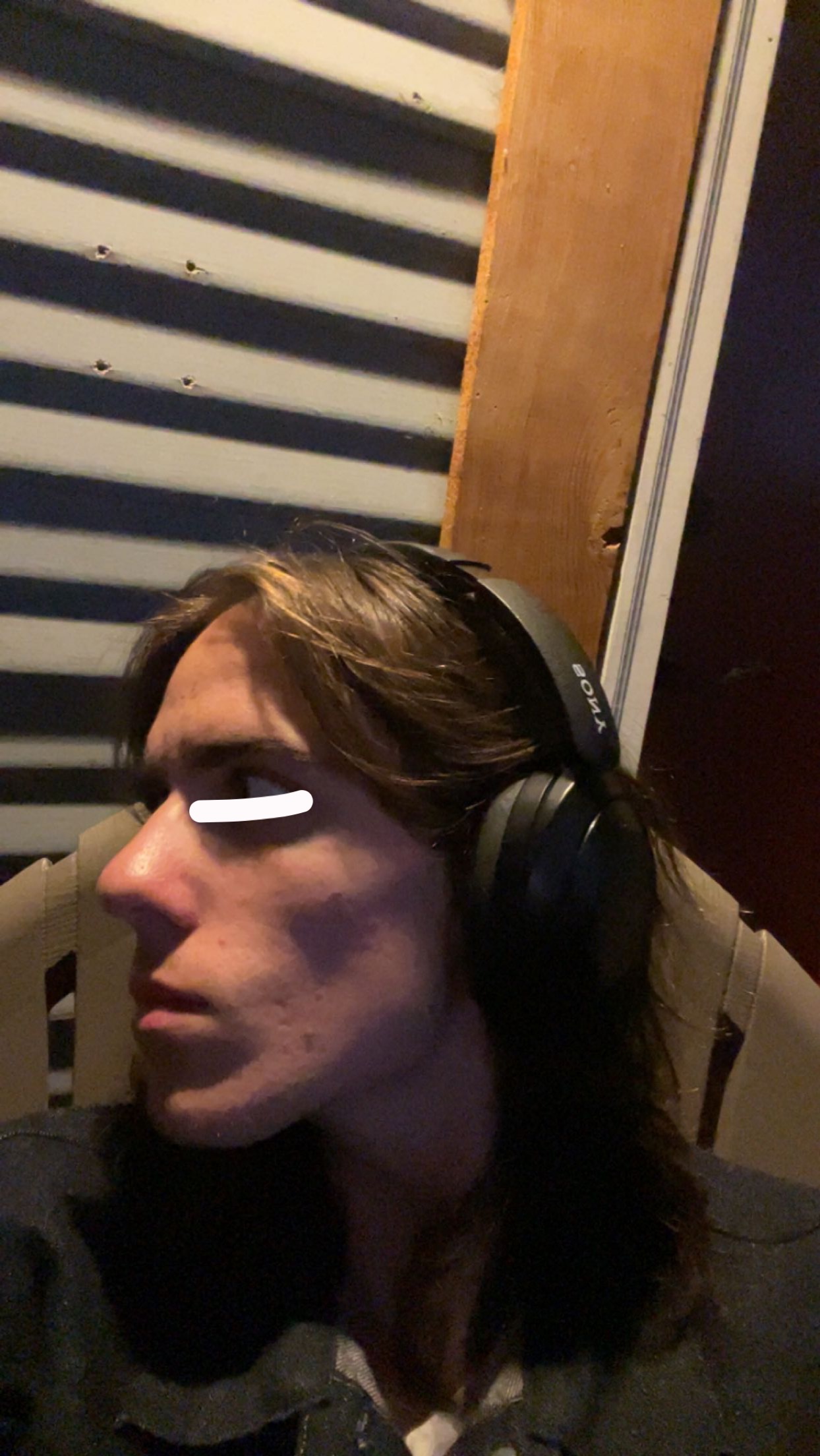 IMG 3539