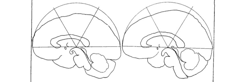 20A7BA80 B810 40B3 8667 759B5744D44E