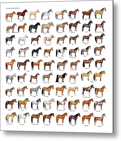 2FC3BE11 8047 48F6 AAA3 9838AA2278B4