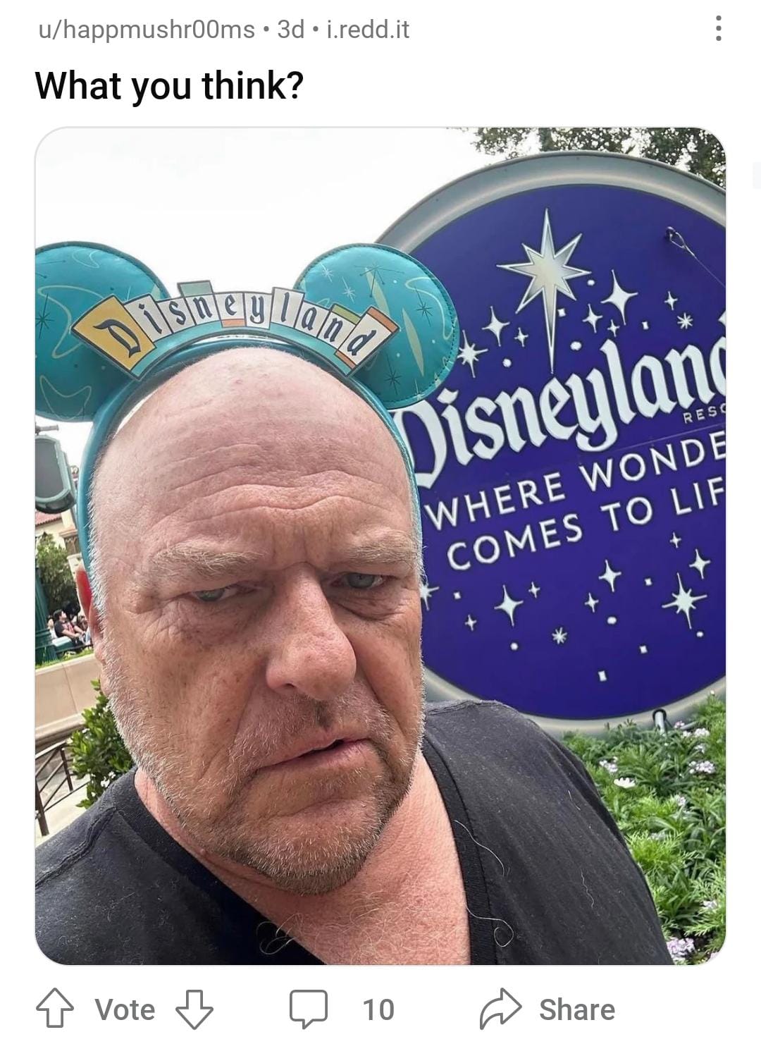 E51D3146 3803 4E10 AE3E C0E3715B35FB