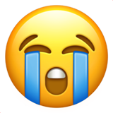 1688370091444