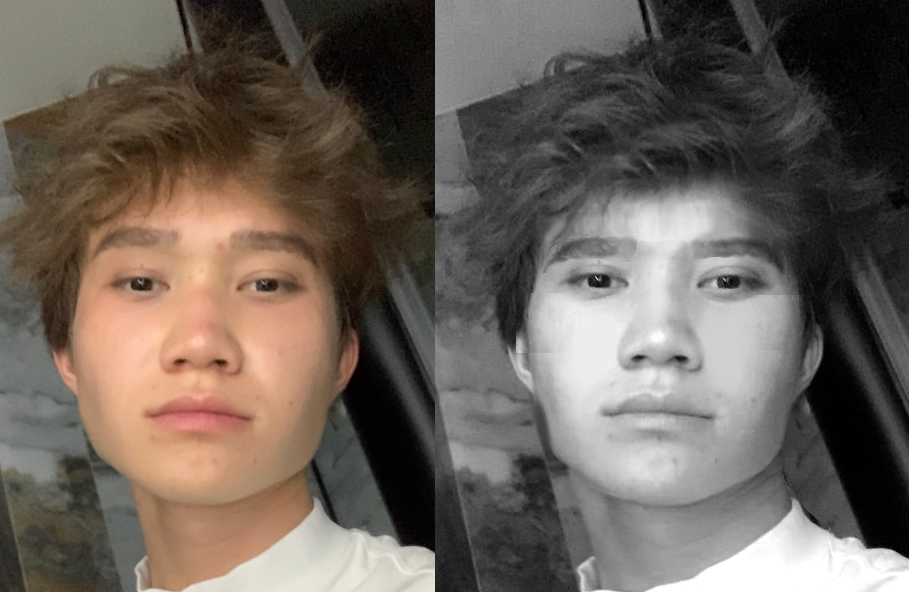 Mrriceguy morph comparison