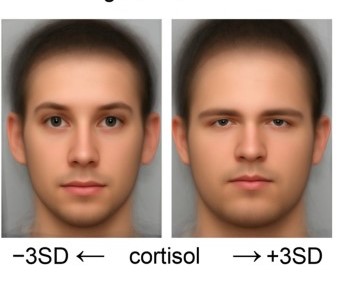 41598 2017 Article BFsrep45340 Fig3 HTML