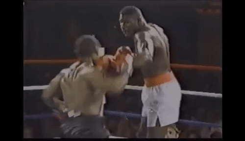 DangerousUntimelyEnglishsetter size restricted