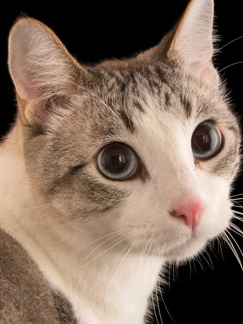 2B69A2E9 4F93 4451 B5CE 8516CDBF8620