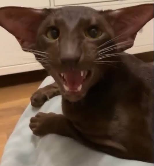 5ED7DA07 7FA9 4B88 ADFE B9B1D3210EFF