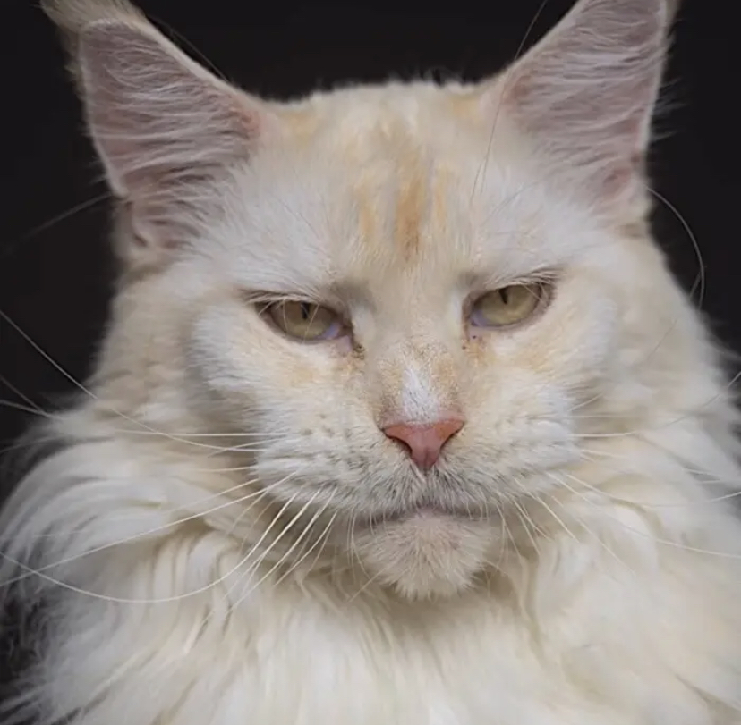 07A279A4 4ABA 4F1E 9EDF 323A032E08DC