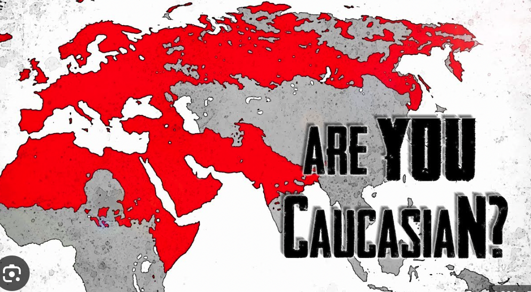 Screen Shot 2023 07 10 at 70255 PM