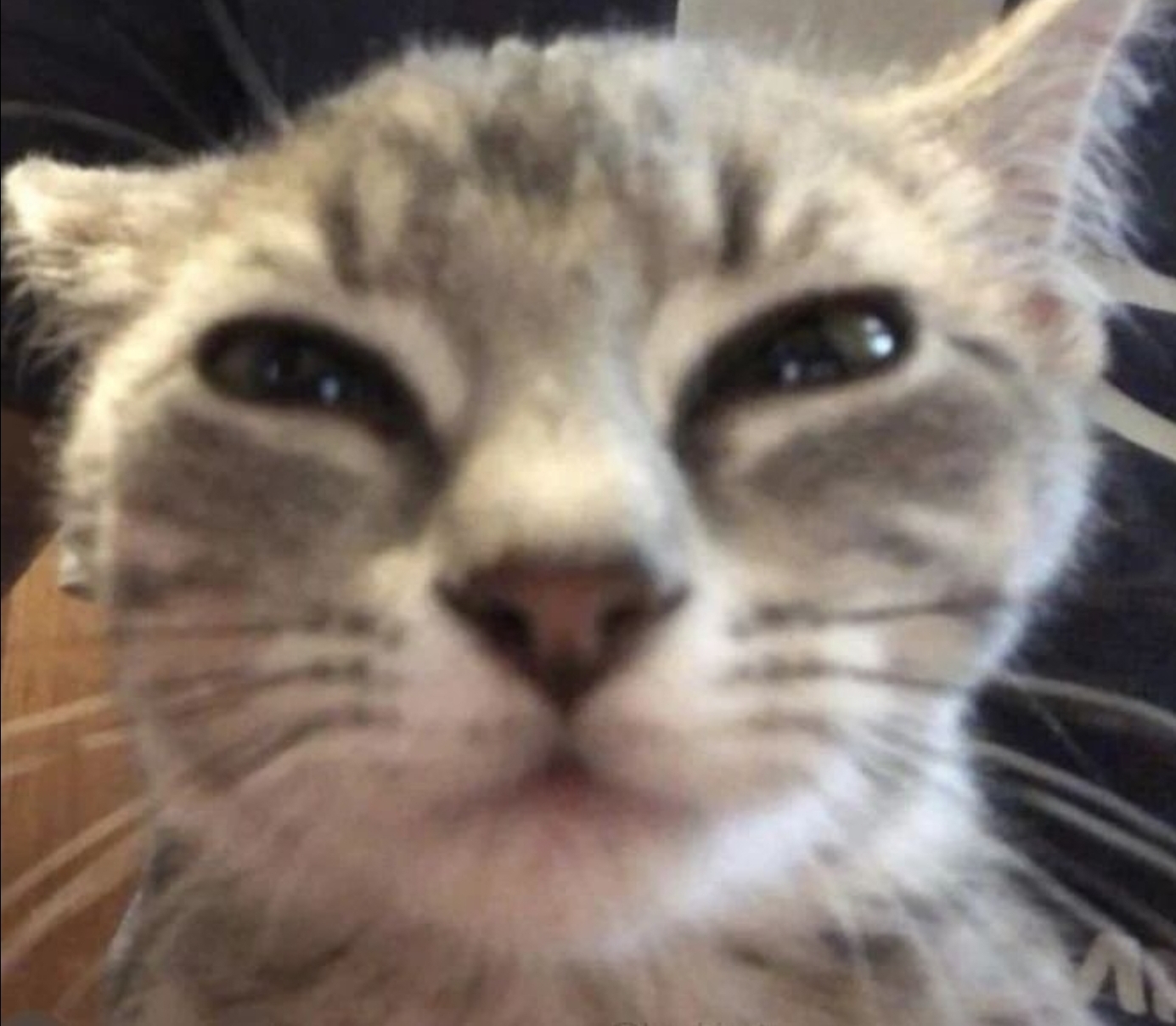 Screenshot 20230703 184753