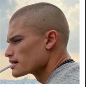 FE1A6899 E036 40C4 8C4B 3DCC2E3909C0