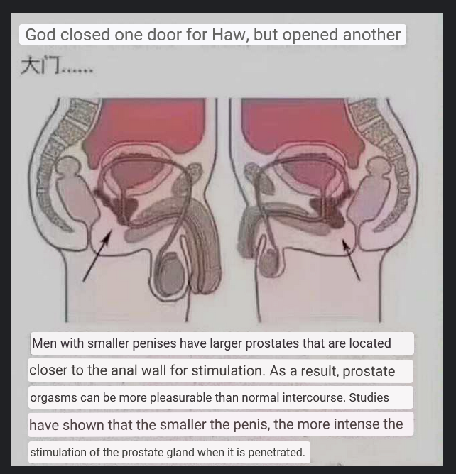 Small Dick Men Are Supposed to be Gay