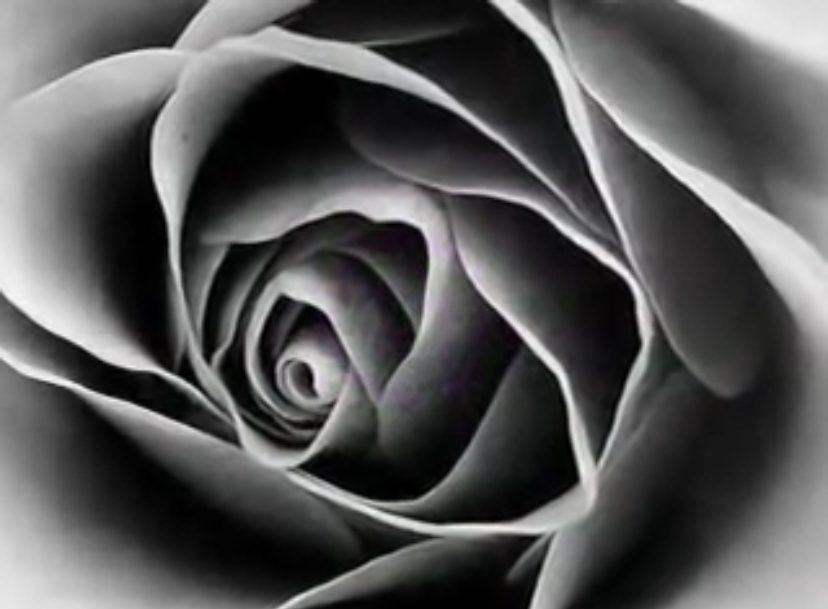 659CC93C ACBE 42DF 847A 93DBAAE366A7