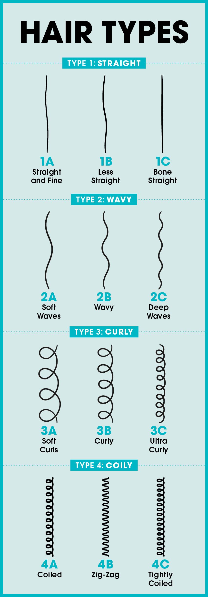 Prevention hair types chart 1665779160