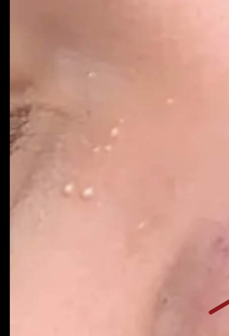 029D19E3 3258 4498 BB2B A6D1D3593515