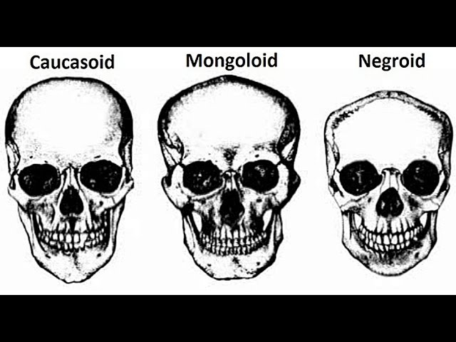 1689546095594