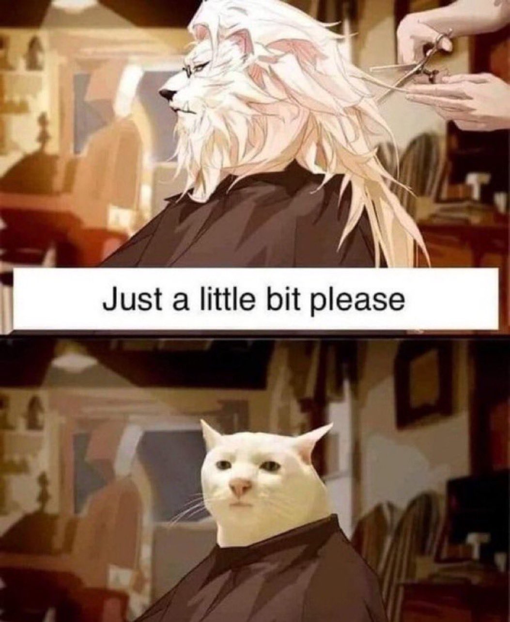 20230717 034550