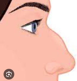 Screenshot 24