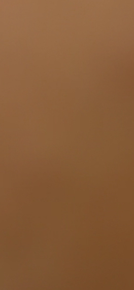 447C169F 82D5 4941 9534 6DB2C1C3EB61