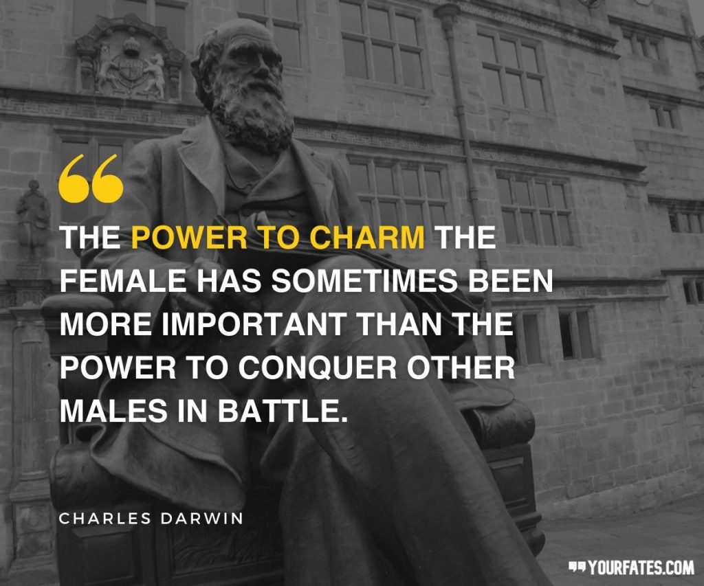 Charles Darwin Quotes 3 1024x853
