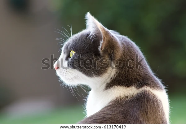 1689873409301