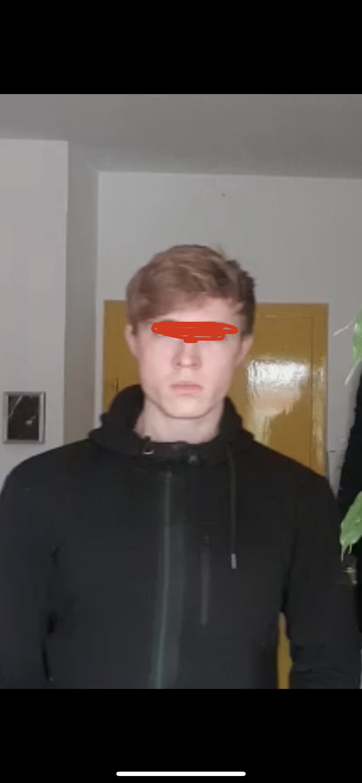 IMG 2650