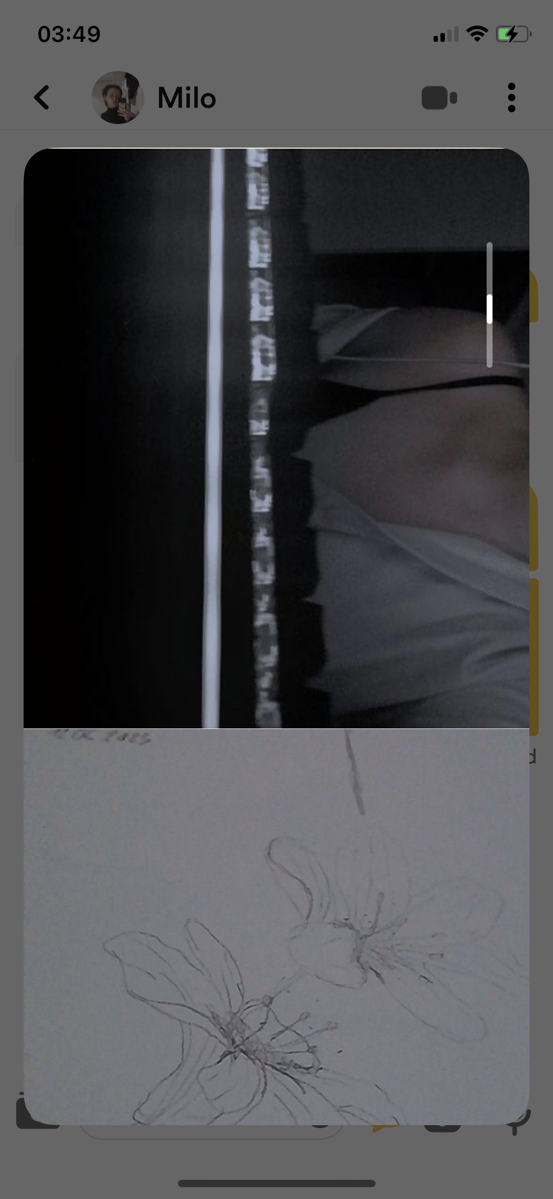 86B8DE6E 03DD 401B 9503 7D6F99EBB831