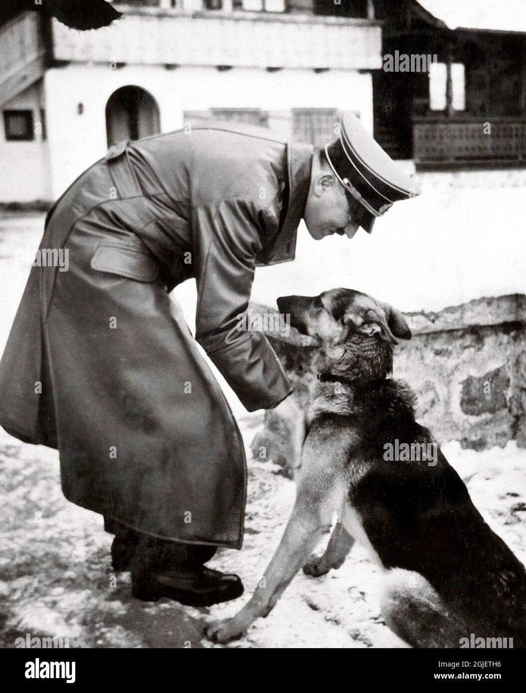 Adolf hitler 1889 1945 with his dog c193940 the photograph is taken from eva brauns photo albu
