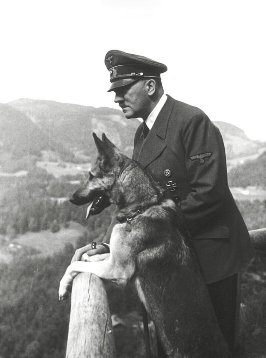 Dog and hitler