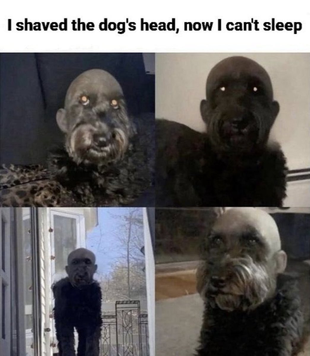 20230725 072249