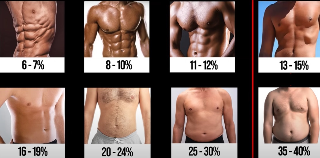 Body fat 1