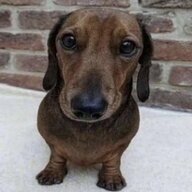 1690343862201