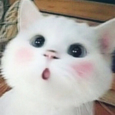 49701A84 6A0F 4866 B4EC 8C953CED3D95