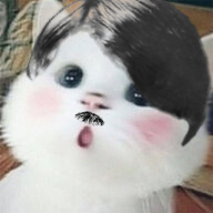 31155