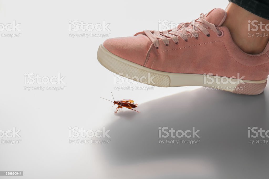 Istockphoto 1338830941 1024x1024