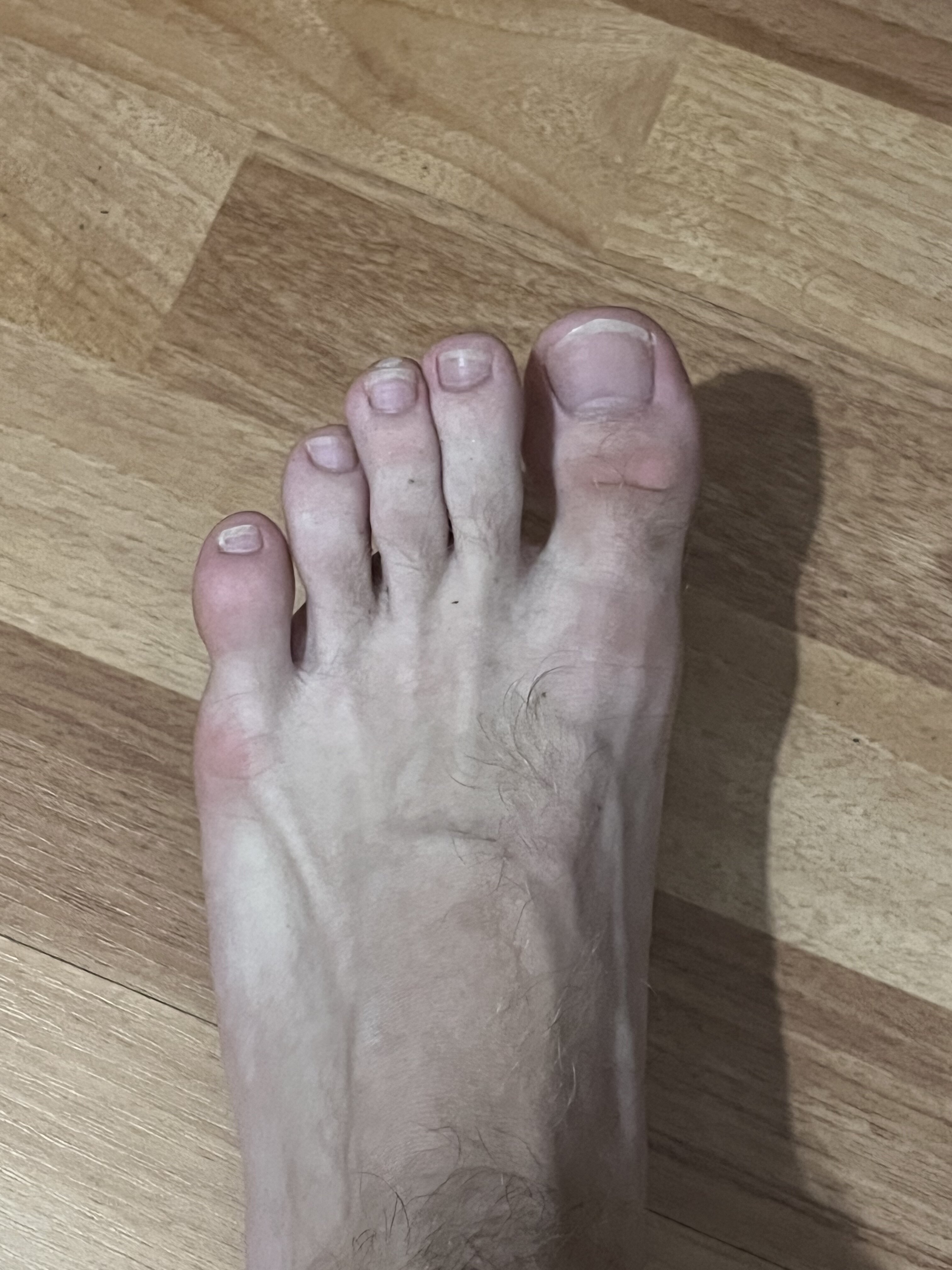 28040AEB F107 4A50 85F6 F81DE8F986B4