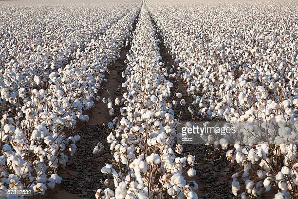 1690688110739
