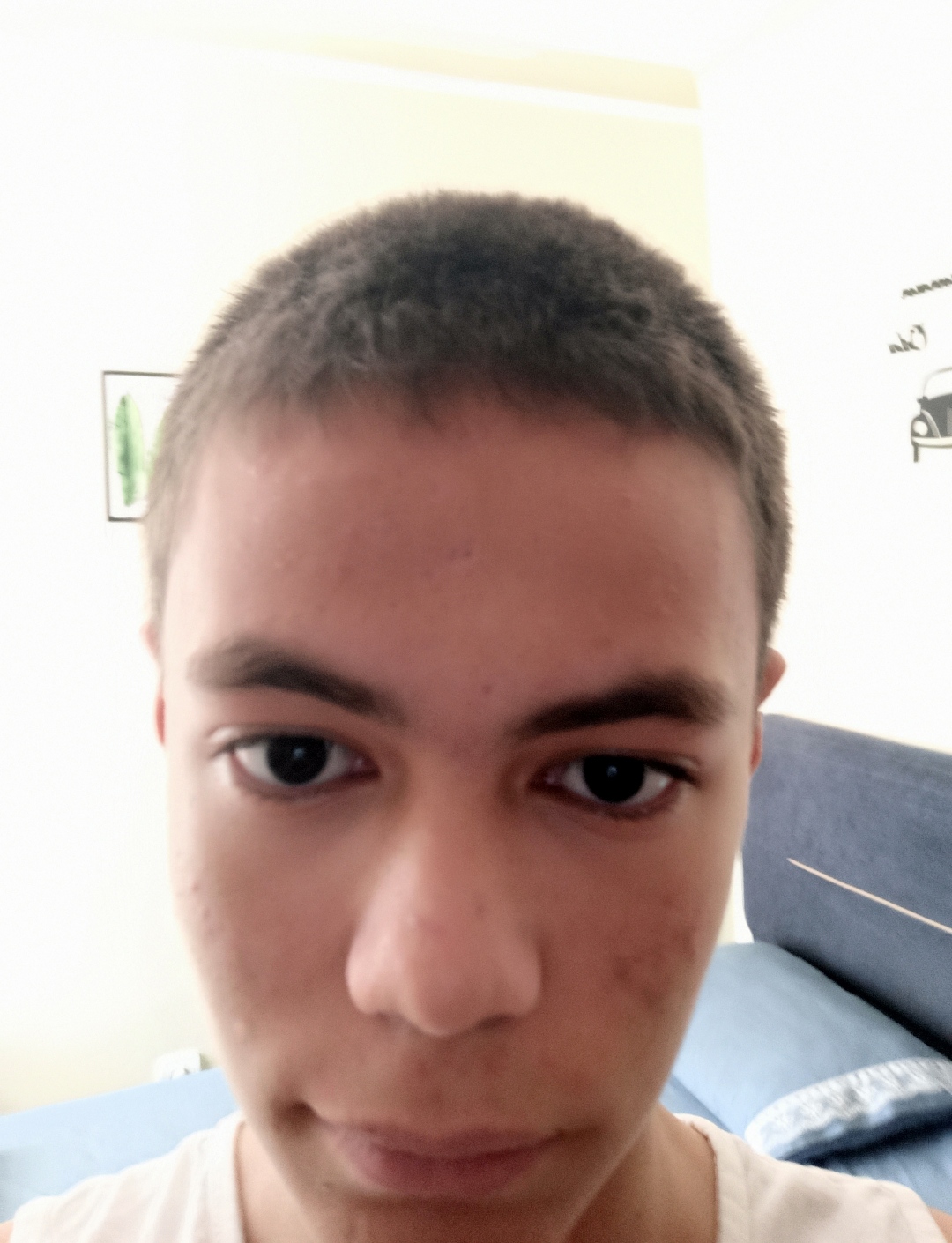 3551478 IMG 20230727 142846