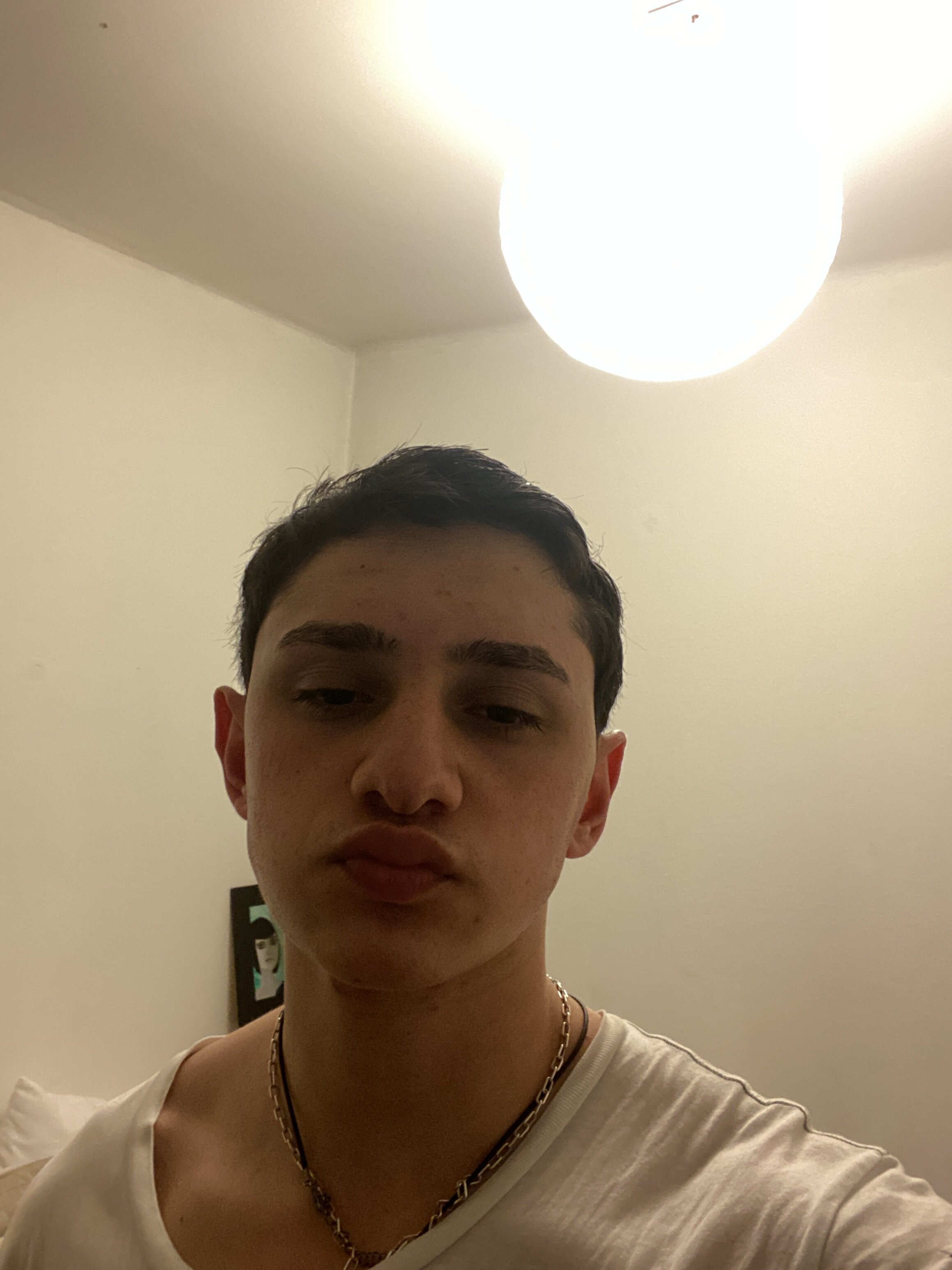 IMG 1210