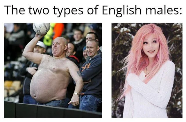 Qy3v8ngub5e71