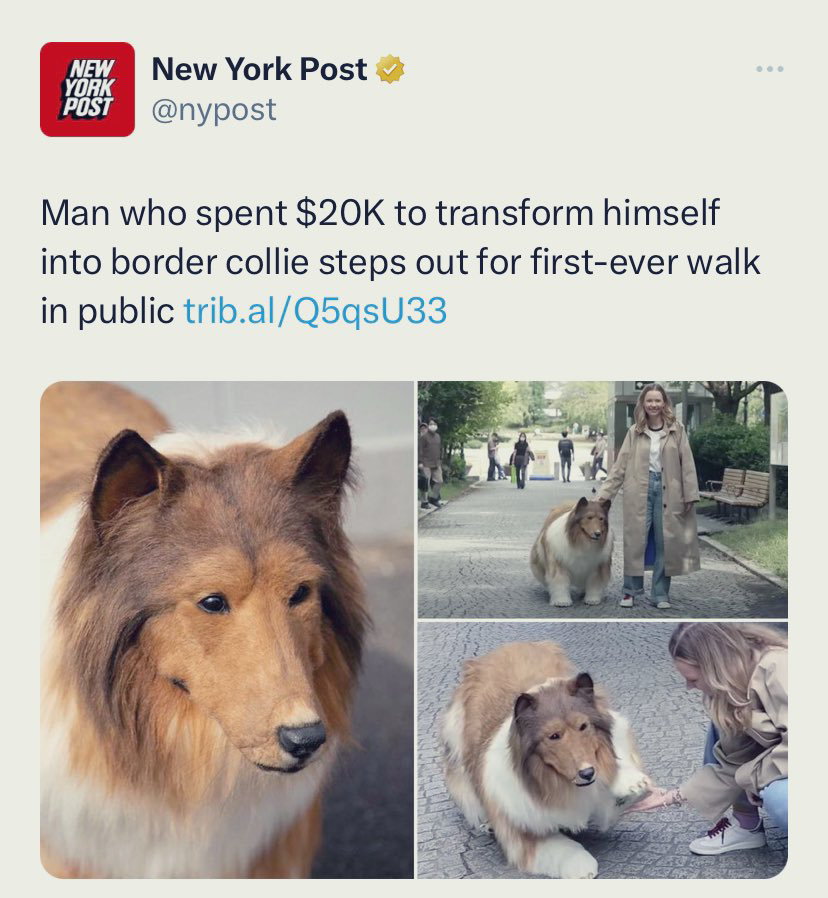 1690725130107