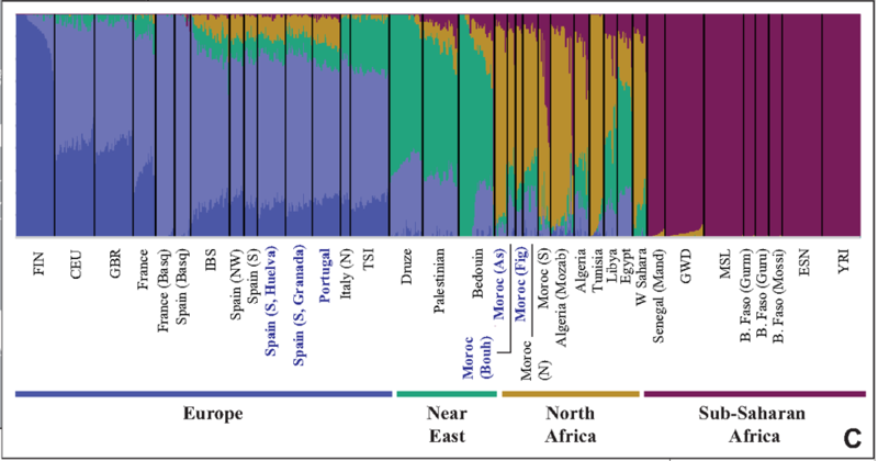 800px Overview of the genetic structure and global ancestry inference in a selection of Europe