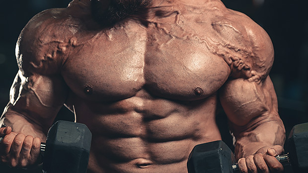 Vascular4