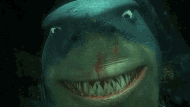 Finding nemo finding nemo shark