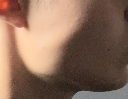 IMG 2331