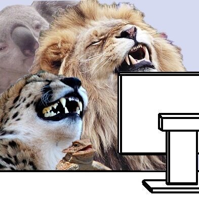 Yylaughing 1530984284650