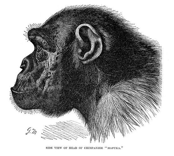 Istockphoto 182878160 612x612