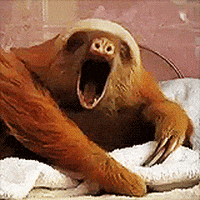 Yawn
